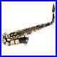 black_Alto_Sax_Set_E_Flat_Sax_Set_Bell_Mouth_Brass_Saxophone_Set_Combined_01_pwj