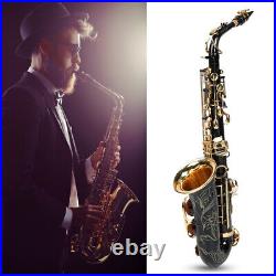 (black)Alto Sax Set Music Instrument Set Combined Saxophone Set Electrophoresis